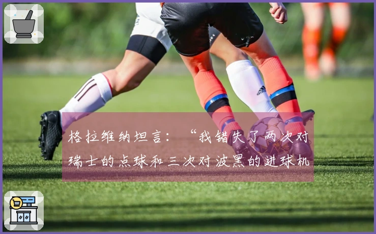 格拉维纳坦言：“我错失了两次对瑞士的点球和三次对波黑的进球机会”