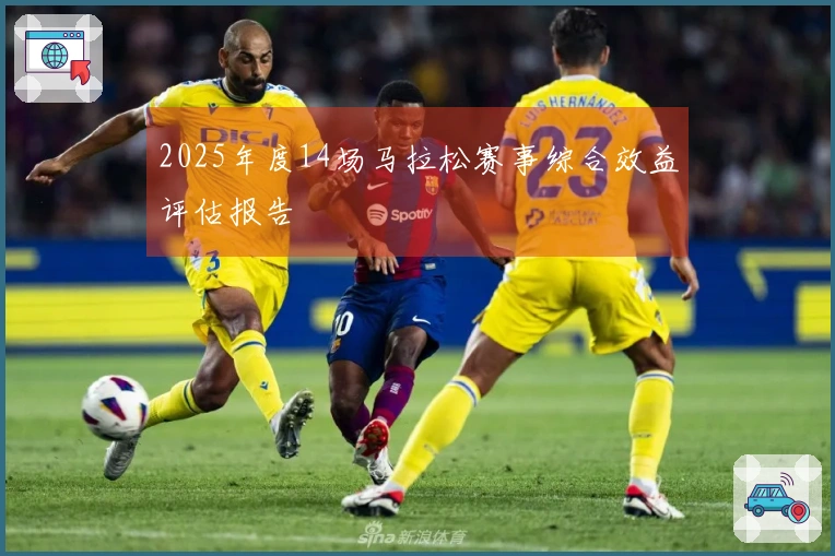 2025年度14场马拉松赛事综合效益评估报告